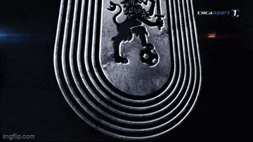 a black and white image of a lion holding a sword in a tunnel .