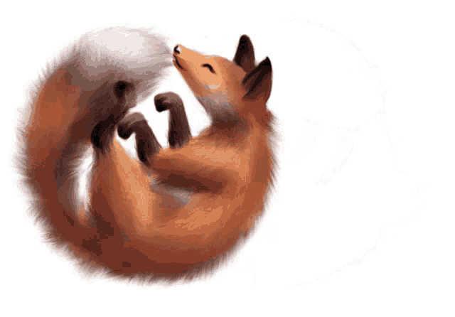 a drawing of a fox laying on its back