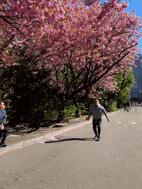 a man walking down a street with pink flowers