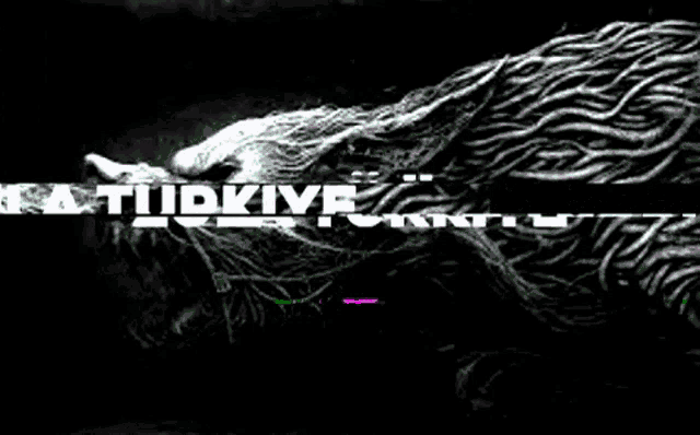 a black and white image with the words zula turkeye