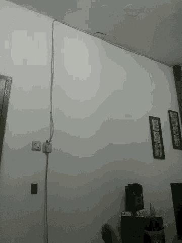 Wall GIF - Wall GIFs