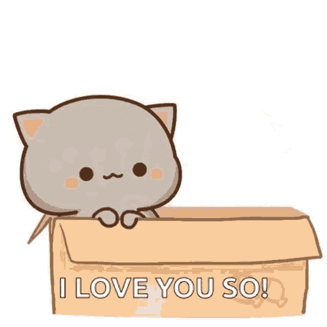 a couple of cats are sitting in a cardboard box and saying `` i love you so '' .