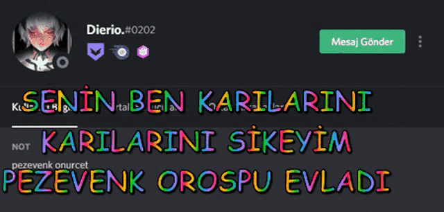 a screenshot of dierio # 0202 with a rainbow colored text