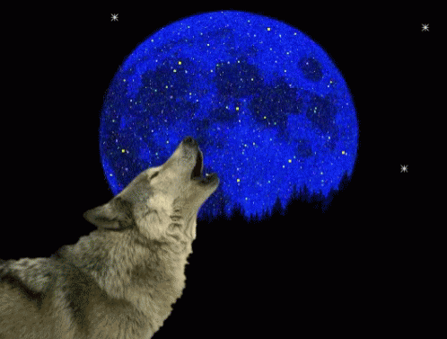 Wolf Full Moon GIF - Wolf Full Moon Noche De Lobos GIFs