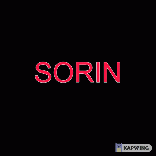 Sorin Text GIF - Sorin Text Animated GIFs