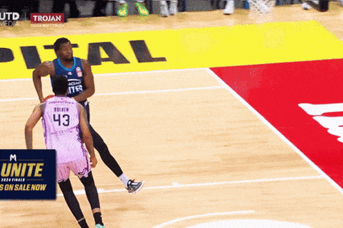 a basketball player with the number 43 on his jersey stands on the court