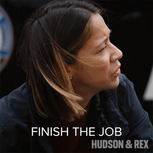 Finish The Job Sarah Truong GIF - Finish The Job Sarah Truong Hudson And Rex GIFs