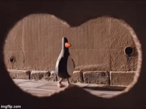 Wallace And Gromit Penguin Penguin GIF - Wallace And Gromit Penguin Penguin Caught GIFs