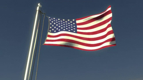 Usa Flag GIF - Usa Flag Flag Waver GIFs