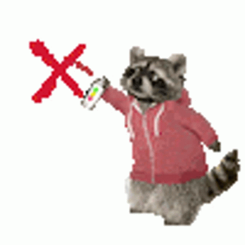 Raccoons Spray GIF
