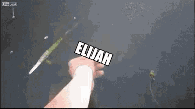 Elijah Baited GIF - Elijah Baited Cong GIFs