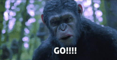 Go Planet Of The Apes GIF - Go Planet Of The Apes Caesar GIFs
