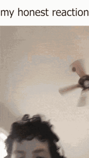 a picture of a person with a ceiling fan in the background and the caption my honest reaction