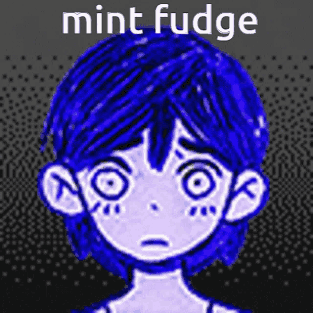 a drawing of a girl with blue hair and the words mint fudge written above her