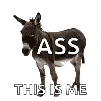 a donkey is standing on a white background with the words `` ass this is me '' written on it .