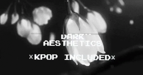 Kpop Dark Theme GIF - Kpop Dark Theme GIFs