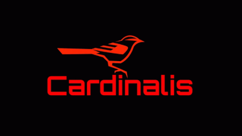 Cardinalis GIF - Cardinalis GIFs