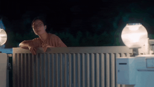 a woman leaning over a fence with a lamp in the background