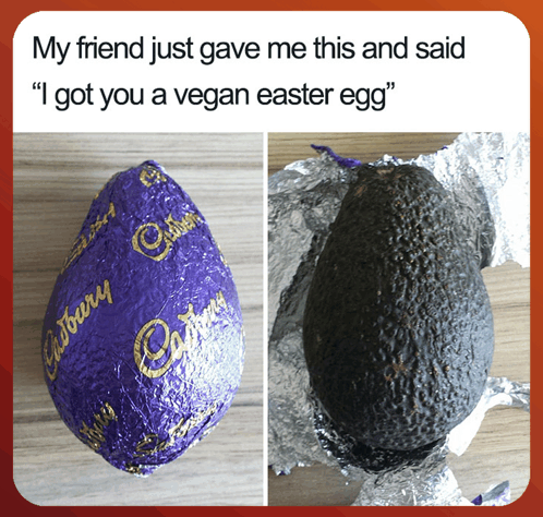 My Friend Just Gave Me This And Said I Get You A Vegan Easter Egg Meme GIF