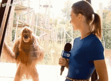 Smile Orangutan GIF - Smile Orangutan Smiling GIFs