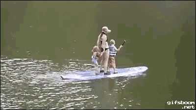 a gif from gifsboom.net shows a beaver swimming in a lake