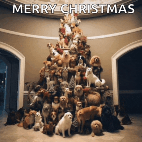 a christmas tree made of dogs and cats with merry christmas written on the bottom