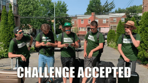 Challenge Accepted Challenge GIF - Challenge Accepted Challenge Accept GIFs