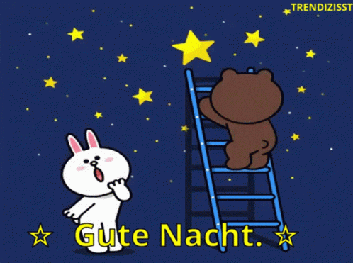 Good Night Gute Nacht GIF - Good Night Gute Nacht Stars GIFs
