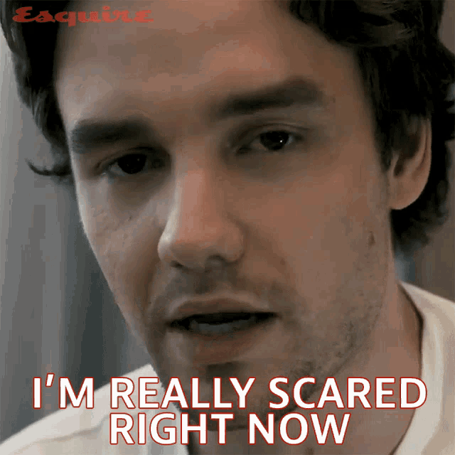 Im Really Scared Right Now Liam Payne GIF