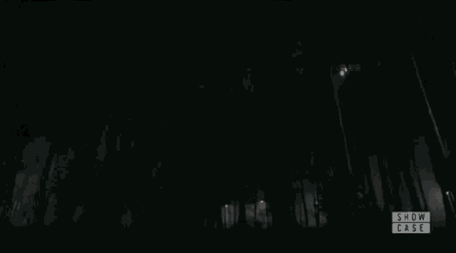 a dark forest with a show case logo on the bottom right
