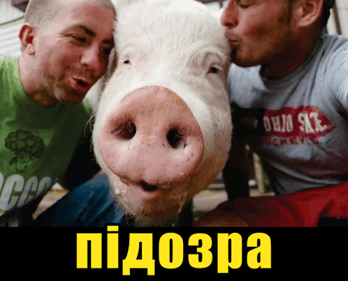 свинья Pig GIF - свинья Pig пидозра GIFs