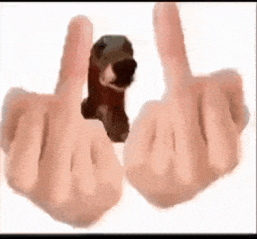 a person is making a middle finger sign with a dog behind them .