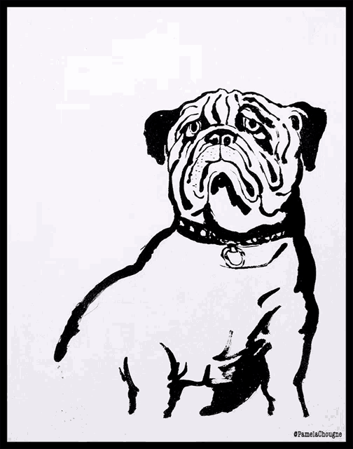 a black and white drawing of a pug dog with the name pamela on the bottom