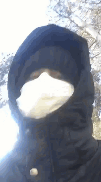 a person wearing a hooded jacket and a mask on their face