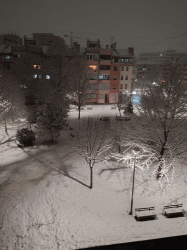 a snowy park at night with a few benches in the foreground