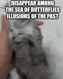 Disappear Among The Sea Of Butterflies Star Rail GIF
