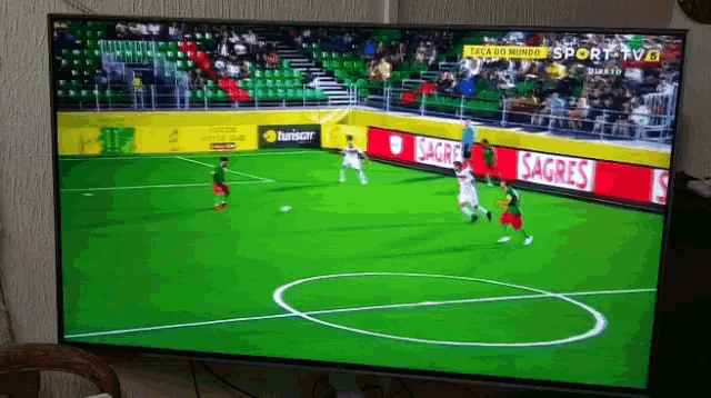 a soccer game is being shown on a television with a sagres advertisement