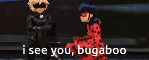 a ladybug and cat noir are looking at each other with the words i see you bugaboo behind them