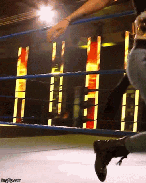 a person in a wrestling ring with the words imgflip.com on the bottom right