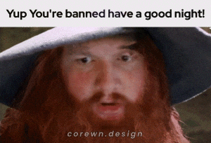 a man with a beard wearing a wizard hat with the caption yup you 're banned have a good night