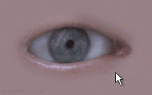 Eye Blink GIF - Eye Blink Arrow GIFs