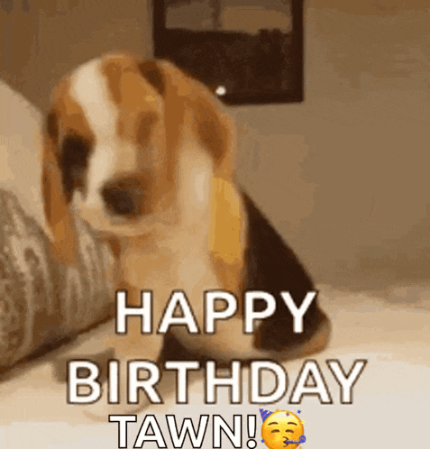 a puppy is sitting on a bed and says happy birthday tawn