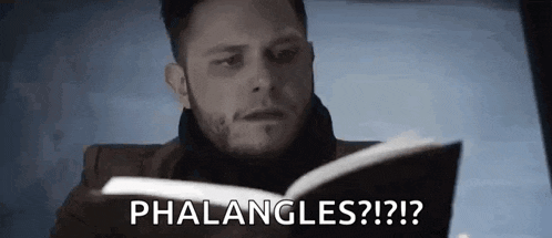 a man is reading a book and says phalangles ? ! ?