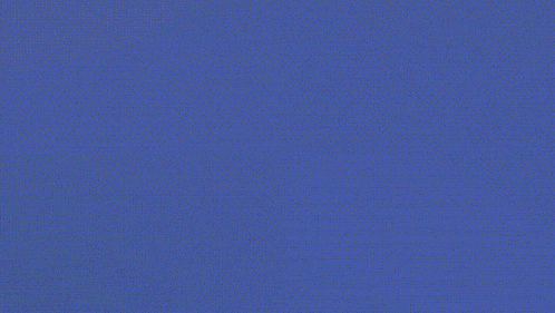 Pewtopia Fly In GIF - Pewtopia Fly In GIFs