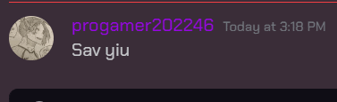 a screenshot of a conversation between progamer202236 and sav yju