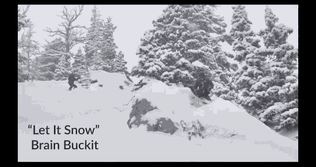 Ski Let It Snow GIF - Ski Let It Snow Brain Buckit GIFs