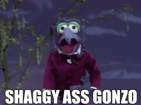 a picture of a muppet with the words shaggy ass gonzo on it
