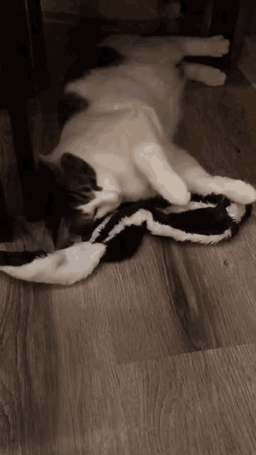 a black and white cat is laying on its back on a wooden floor .
