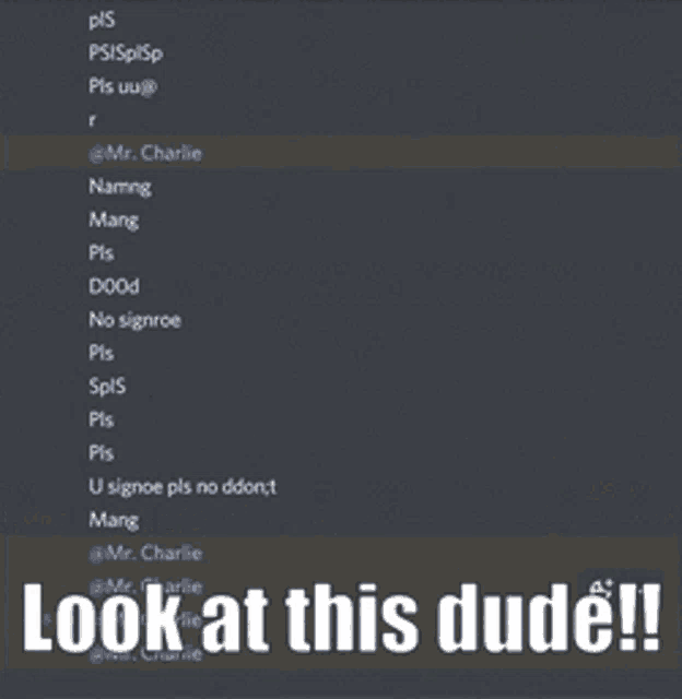 a screenshot of a discord conversation between mr. charlie and mang