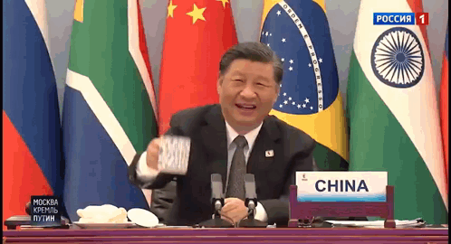 Xi Jingping President Xi GIF